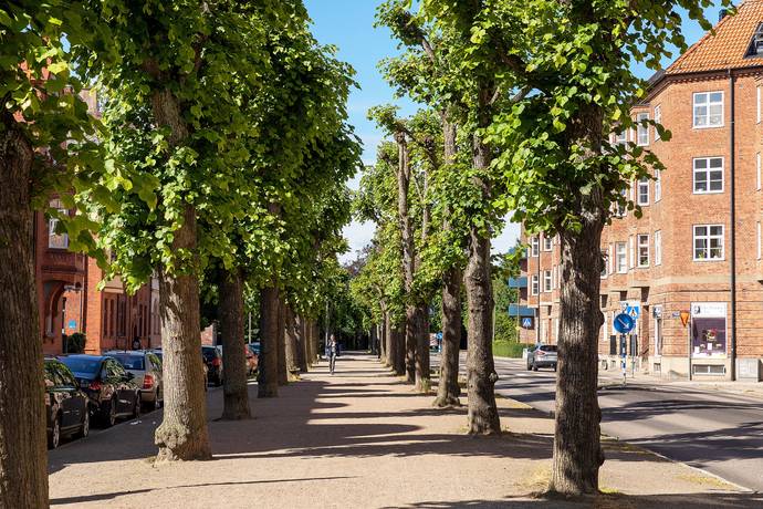 2 rum Lägenhet på Norbergsgatan 4A Lund Centrum / Södertull Lunds kommun - bild 27