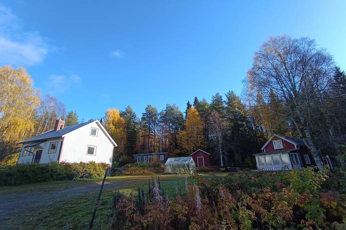 Västra Ormsjö 216, Västra Ormsjö, Dorotea kommun