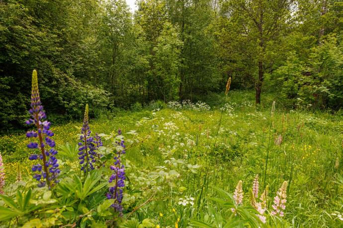 2 rum Fritidshus på Klunkhyttan Kulbäcken 1 Leken Lekebergs kommun - bild 21