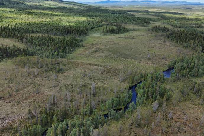 gård med skogsbruk på Skog Storuman Långnäs Storuman, Storumans kommun - bild 1