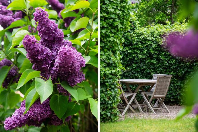 5 rum villa på Eliselundsvägen 11 Kivik, Simrishamns kommun - bild 5