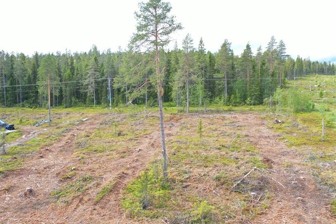 tomt på Tomt Degerberget Degerberget, Piteå kommun - bild 3