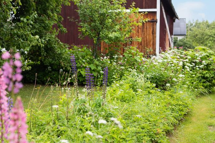 6 rum gård med jordbruk på Rommevägen 47 Romme, Borlänge kommun - bild 4