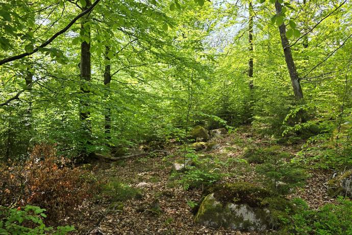 4 rum Vinterbonat fritidshus på Älmeberg 106 Falkenbergs kommun - bild 25