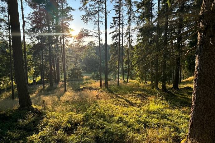 tomt på Edövägen 10 Svartnö - Furusund, Norrtälje kommun - bild 4