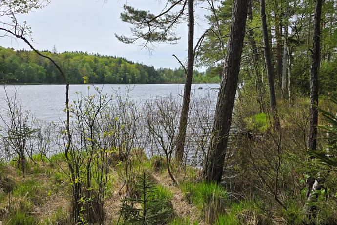 4 rum Vinterbonat fritidshus på Älmeberg 106 Falkenbergs kommun - bild 6