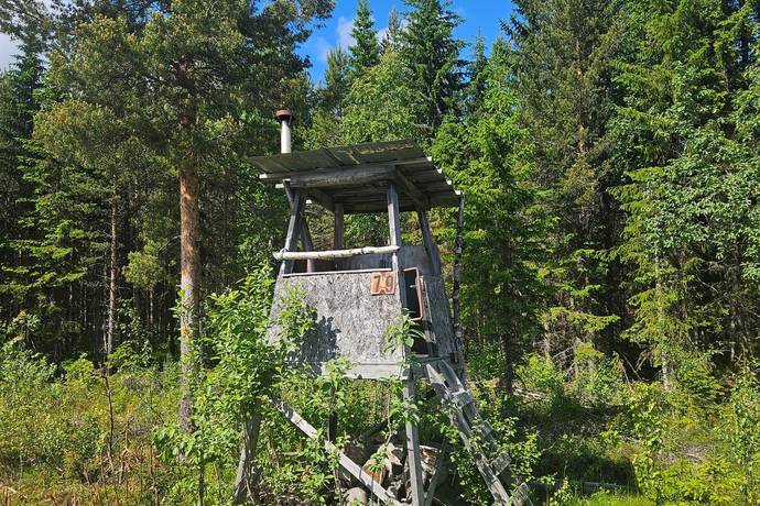 gård med skogsbruk på Skog Storuman Långnäs Storuman, Storumans kommun - bild 2