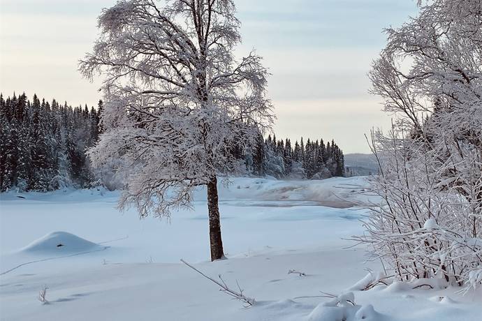 4 rum Lägenhet på Kyrkängesvägen 10D Tegefjäll Åre kommun - bild 45