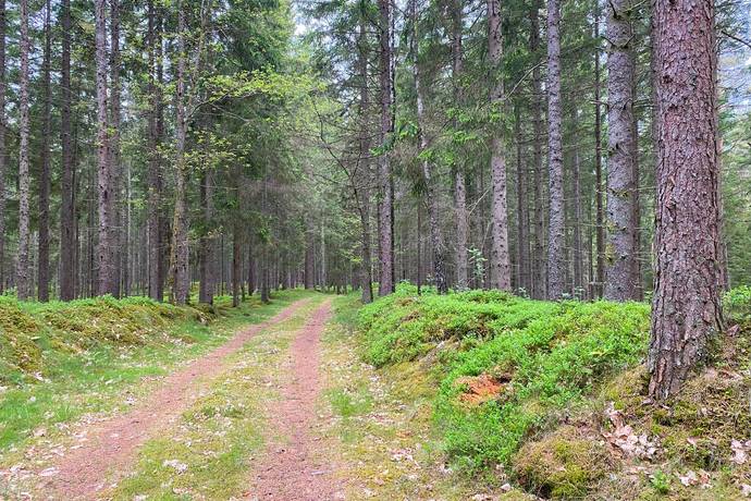 Gård med jordbruk på Dannäs Jonsbo 4 Dannäs ca 4 km från sjön Bolmen Värnamo kommun - bild 33