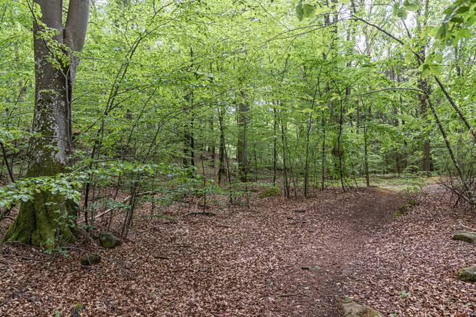Tomt på Tormestorp Tormestorp Hässleholms kommun - bild 9