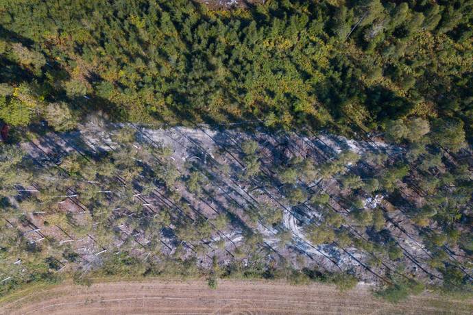 Tomt på Tomter Stigtomta-björka 1:4 Stigtomta Nyköpings kommun - bild 14