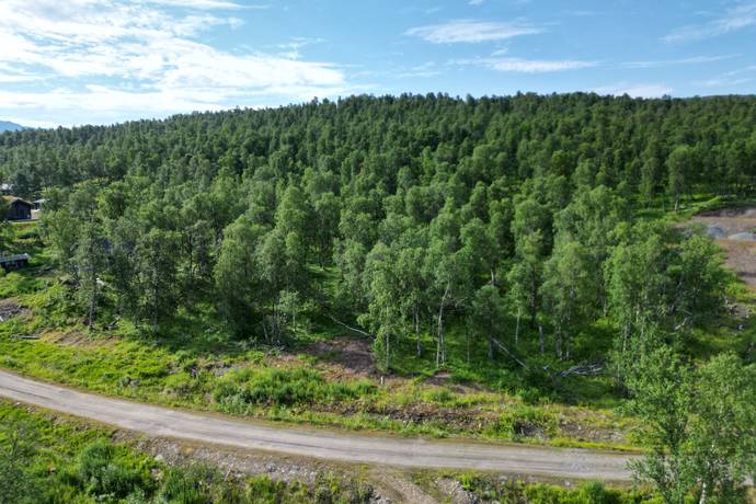 tomt på Joesjö Sundsnäset 531 Joesjö, Storumans kommun - bild 5