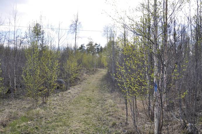 Gård utan jordbruk på Glissjöberg 435 Glissjöberg Härjedalens kommun - bild 55