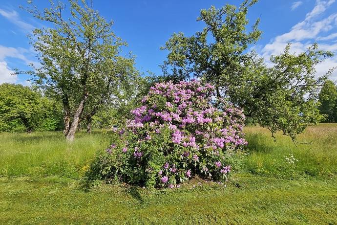 2 rum Villa på Dammhyttan 40 Dammhyttan Filipstads kommun - bild 30