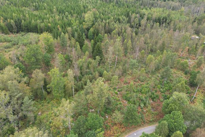 Gård/skog på HYLTE BRÄNNÖ 1:2 Hylte kommun - bild 8