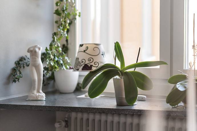 2,5 rum lägenhet på Liljegatan 4C Fålhagen, Uppsala kommun - bild 5