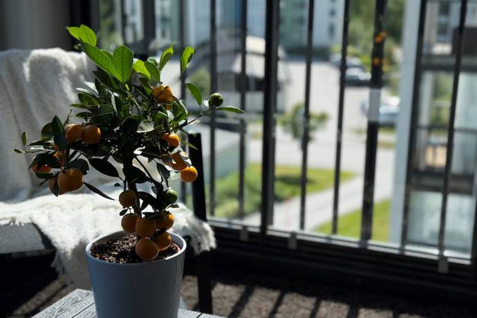 3 rum Lägenhet på Frida Åslunds gränd 1B Sandåkern Umeå kommun - bild 23