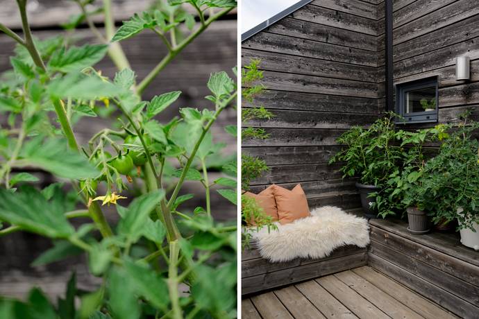 3 rum Lägenhet på Kommendörsgatan 9A Rörsjöstaden Malmö kommun - bild 14