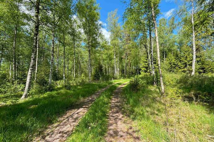 Gård utan jordbruk på Hällahester 1 Hällahester, Eksjö Eksjö kommun - bild 83