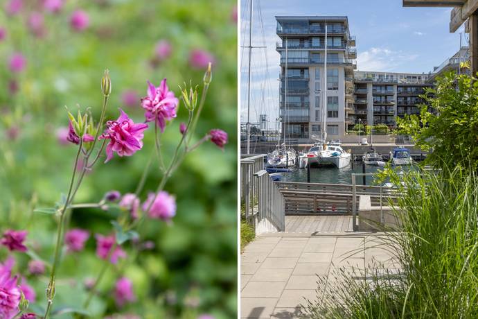 3 rum Lägenhet på Dockgatan 49 A Dockan Malmö kommun - bild 27