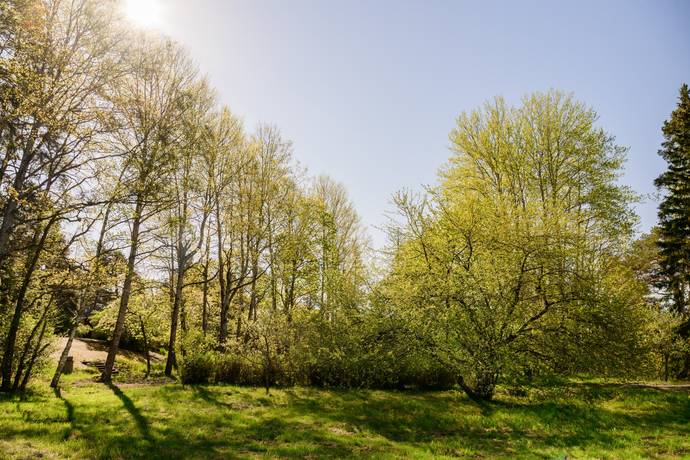 Tomt på Strömmadalsvägen 2 Strömma Värmdö kommun - bild 2