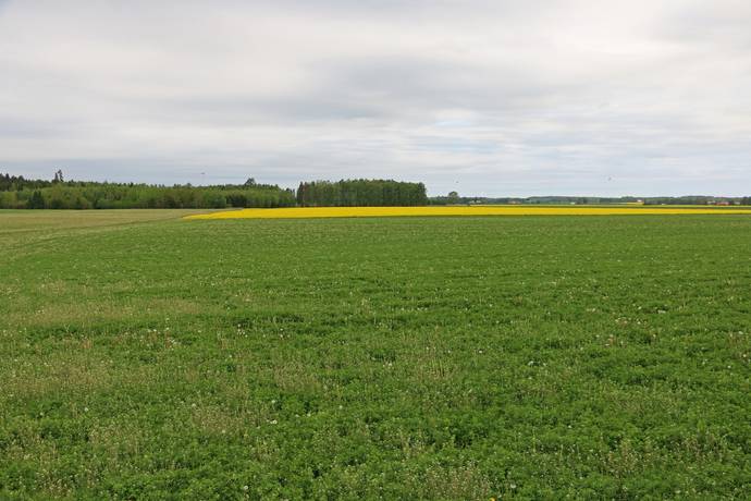Gård med jordbruk på Govlösa Mjölby kommun - bild 3