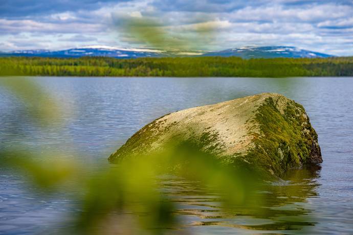 Gård med jordbruk på Salom Bergs kommun - bild 37