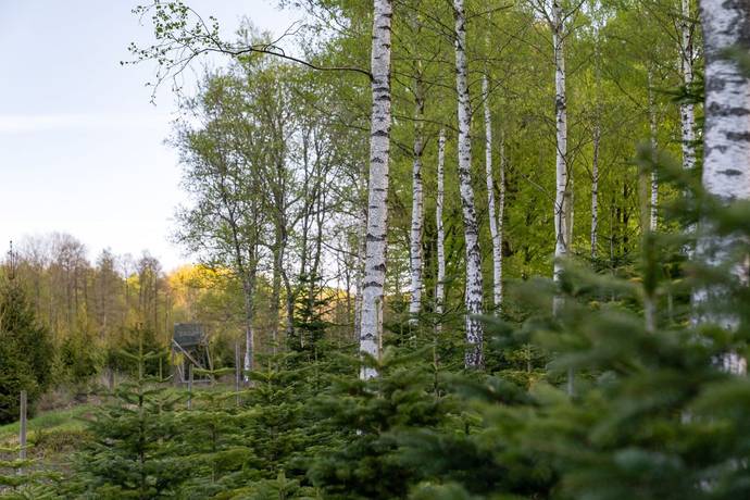 200 m² Gård utan jordbruk på Krokhusvägen 325 Ängelholm Ängelholms kommun - bild 77