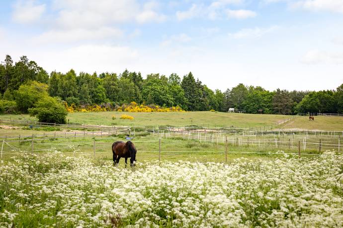 tomt på Sandvångsvägen 53 Vik, Simrishamns kommun - bild 3