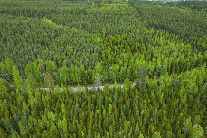 Gård med skogsbruk på Sollefteå Moflo 5:28 Moflo Sollefteå kommun - bild 31