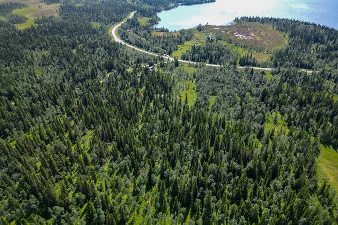 gård med jordbruk på Medstugan 1:64 Duved, Åre kommun - bild 1