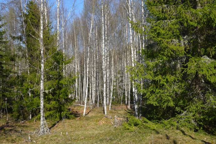 5 rum Gård med jordbruk på Hallanda gård Tveta Hallanda Säffle kommun - bild 41