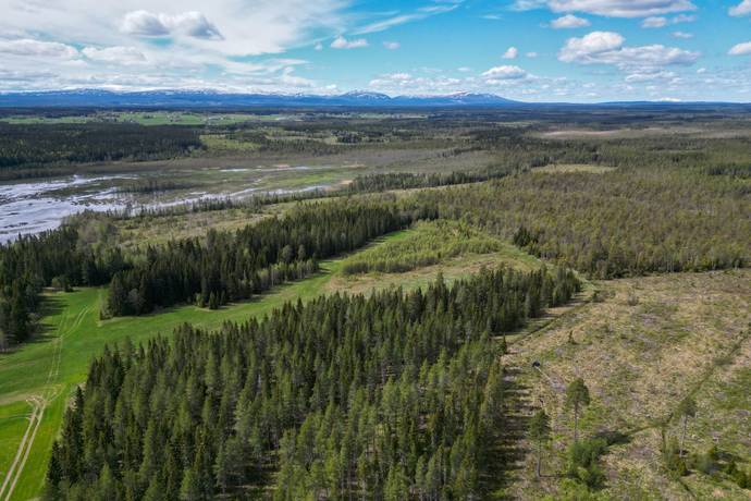 Gård/skog på Åre Rörön 1:2, 2:2 samt 2:3 Åre kommun - bild 23