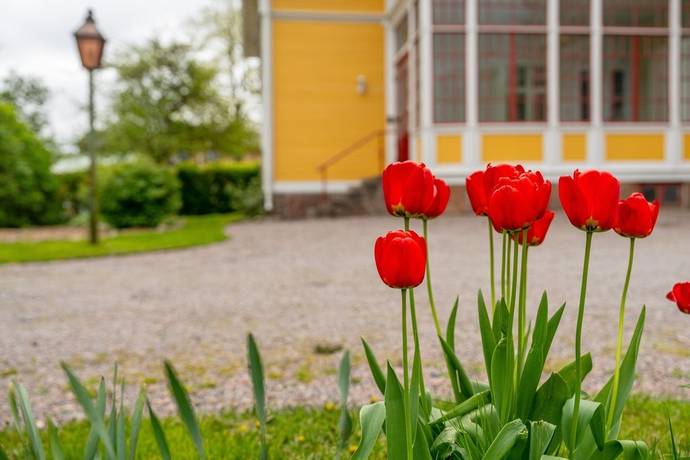 9 rum Villa på S:ta Annagatan 6 Centrum Skara kommun - bild 57