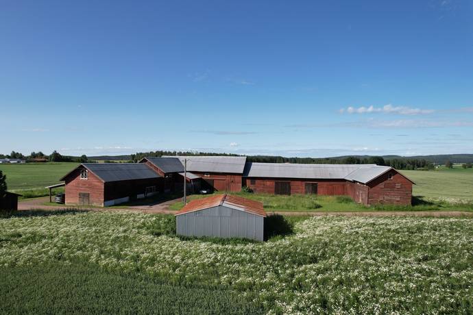 gård med jordbruk på Janpers Hedemora, Hedemora kommun - bild 3