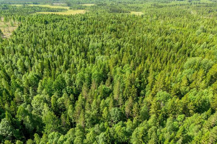 gård med skogsbruk på STRÖMSUND TÅSJÖ 4:48 Tåsjö, Strömsunds kommun - bild 1