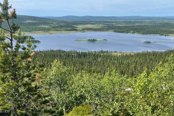 gård med skogsbruk på Lillberg Lillberg, Lycksele kommun - bild 1