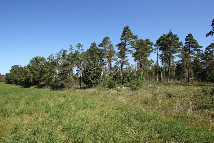 tomt på Sanda Bjästavs 110, Tomt C Sanda - Västra Gotland, Gotlands kommun - bild 3