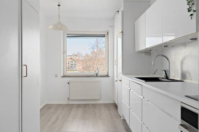 Heleneholm, Malmö kommun