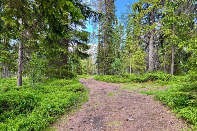 Gård med skogsbruk på HÄRJEDALEN HÅN 9:13, 14:6, 14:7 Vemhån Härjedalens kommun - bild 8