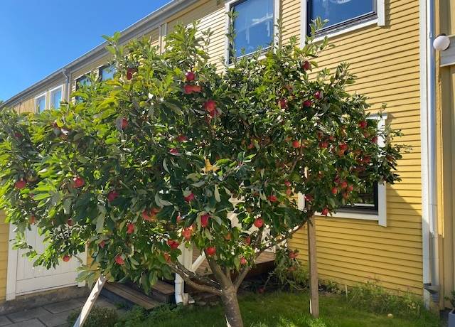 5 rum Radhus på Klockarevägen 21 Hisings Kärra Göteborgs kommun - bild 29