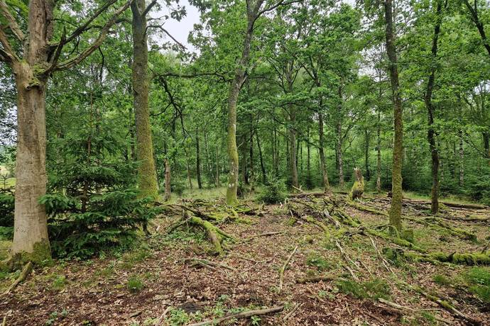 Gård med jordbruk på Trulshärad 8151 Önneköp Hörby kommun - bild 18