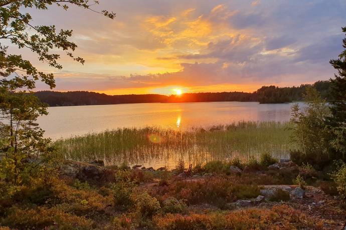 2 rum Fritidsboende på Näs Tallholmen 1 Gusum Valdemarsviks kommun - bild 8