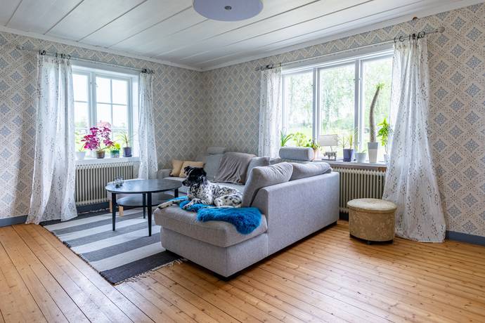 Gård med jordbruk på Salom Bergs kommun - bild 15