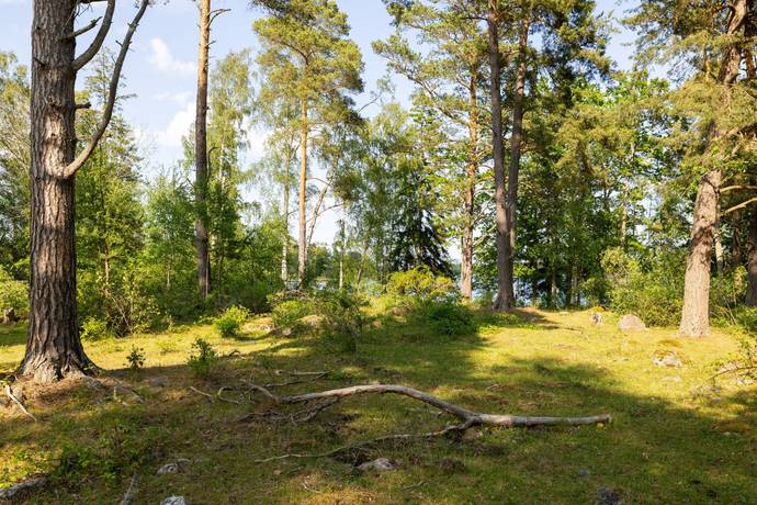 Gård utan jordbruk på Hasselö Vedhälla Hagaslätt  (del av fastigheten) Hasselö Västerviks kommun - bild 9