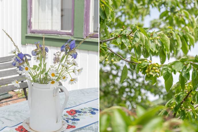 4 rum Fritidshus på Norra Nyponvägen 15 Klinta / Köpingsvik Borgholms kommun - bild 16