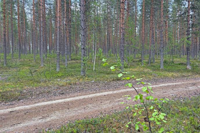 gård/skog på Hjuksnoret Vindeln, Vindelns kommun - bild 1