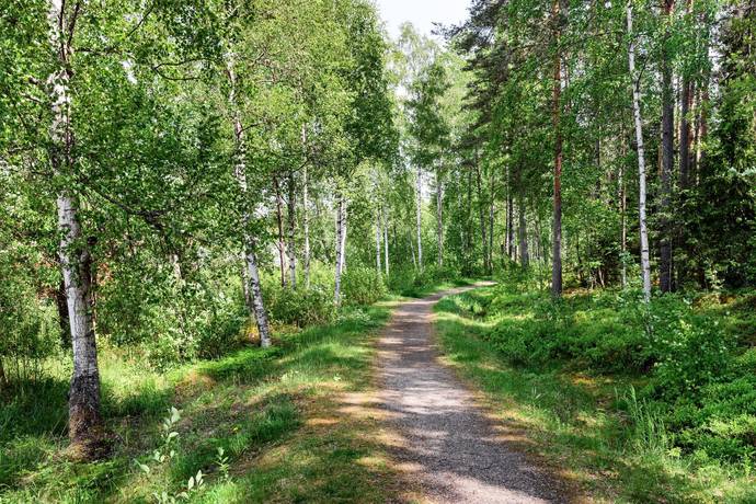 4 rum Par-/kedje-/radhus på Bjungnäsvägen 12B Sundborn Falu kommun - bild 42