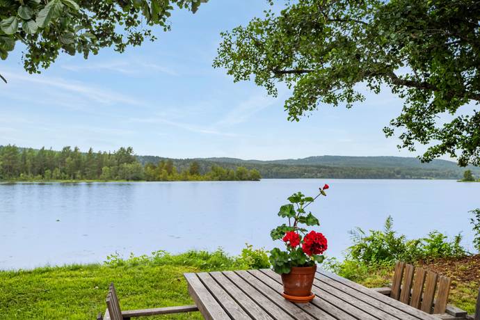 gård/skog på Gräs Nedre Lassheden Sunnemo, Hagfors kommun - bild 4