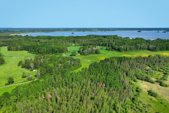 10 rum Gård/skog på Harbonäs säteri Heby- Uppland Heby kommun - bild 23